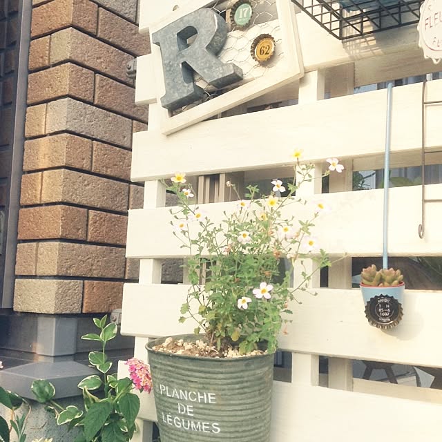 kohakuruさんの実例写真