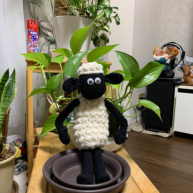 Aqettyさんの部屋