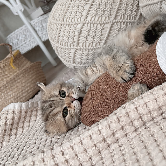 miyu39さんの実例写真