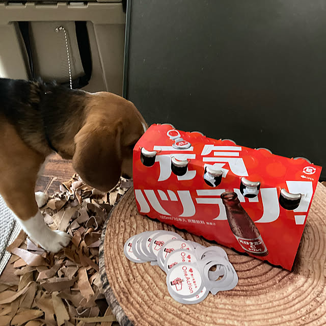 onokenkoさんの実例写真