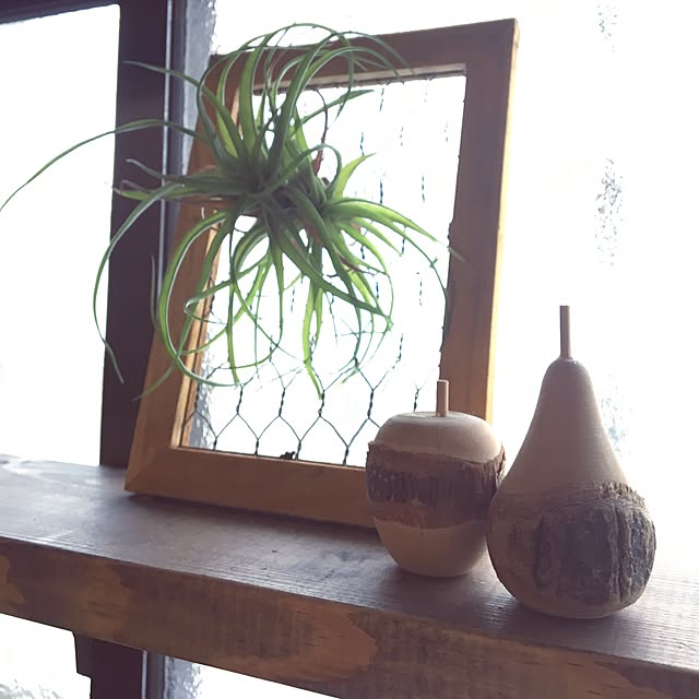 MoclaLatteさんの実例写真