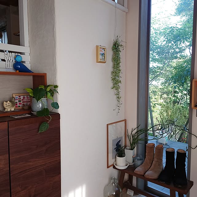 asmaさんの部屋