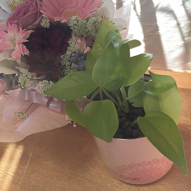 ISM.mumさんの実例写真