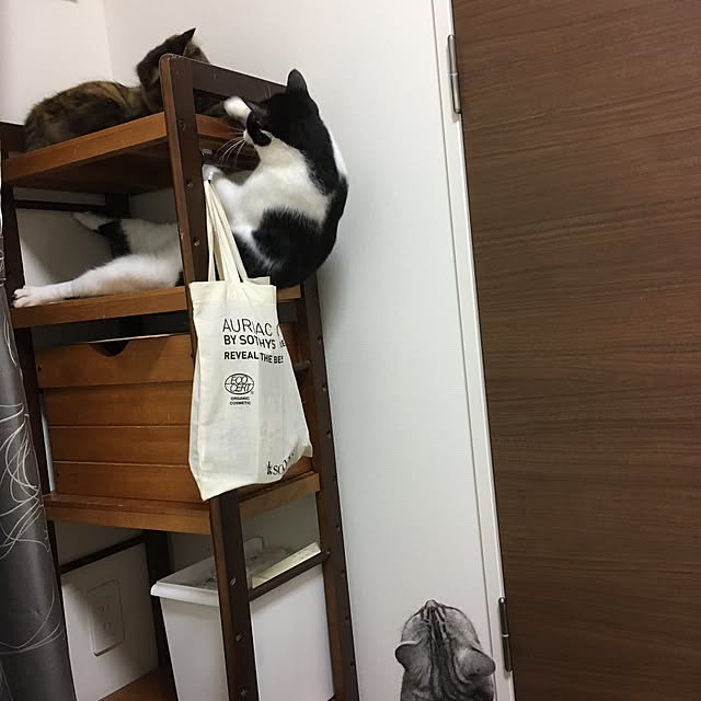 mikomaruさんの実例写真