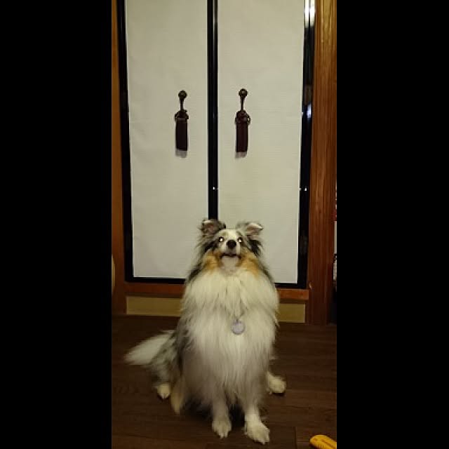 okuyukiさんの実例写真