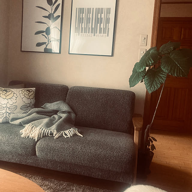 youさんの実例写真