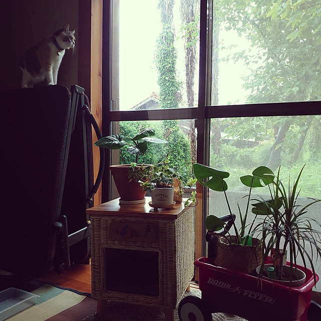 fukuさんの実例写真