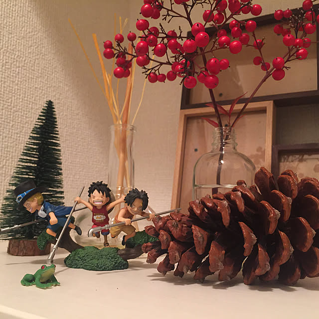 araaraさんの実例写真