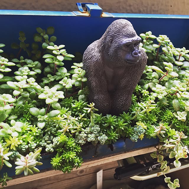 8717さんの実例写真