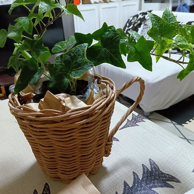 Yurieさんの部屋