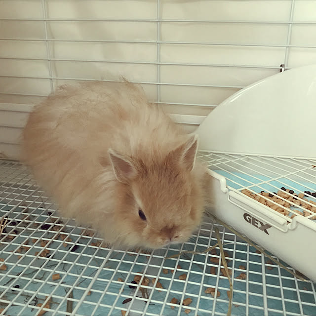 mさんの実例写真