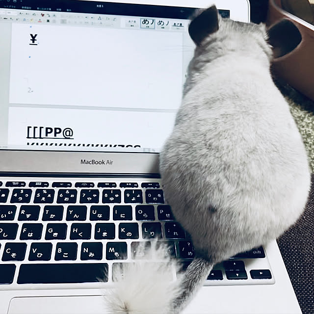 Torinnさんの実例写真