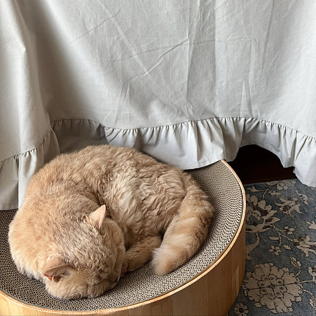 naokoさんの実例写真