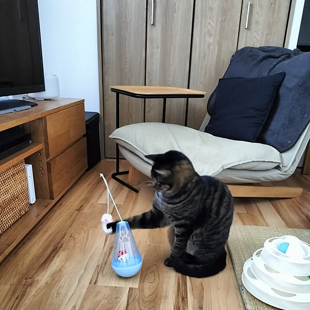 hihaさんの実例写真