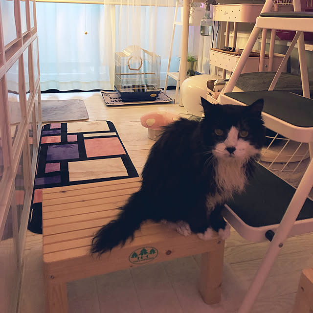 kanaさんの実例写真