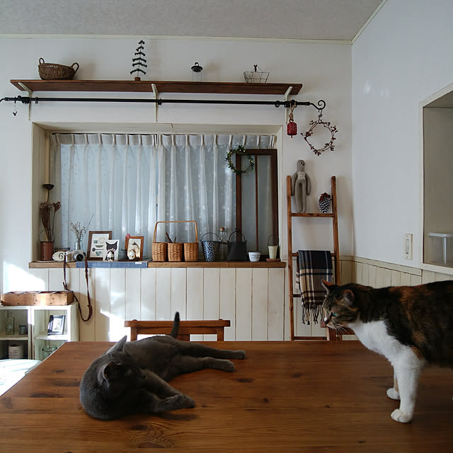 tomo1220さんの実例写真