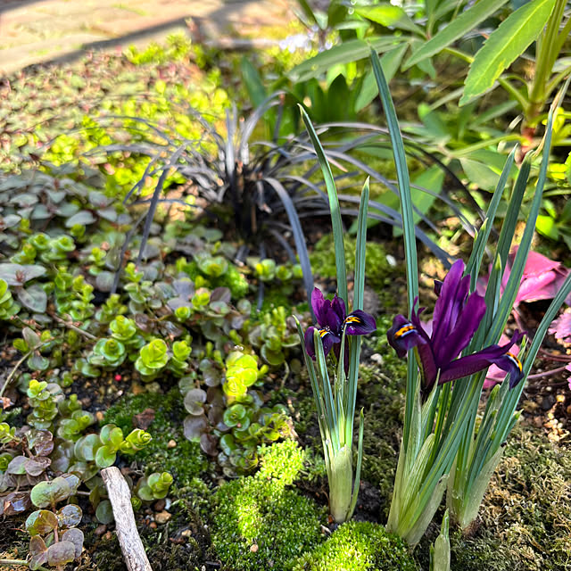 kyoko1124koさんの部屋