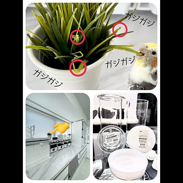 qooguriさんの実例写真