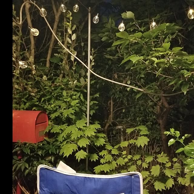 midoriさんの部屋