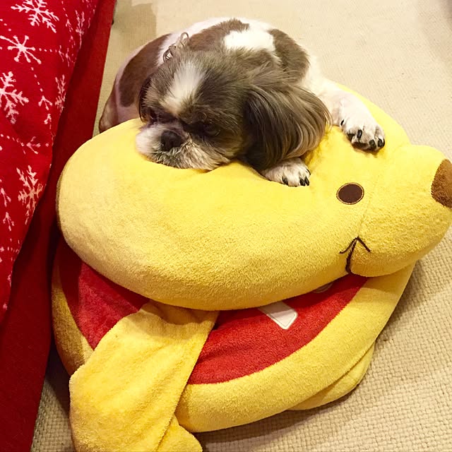 butachanさんの実例写真