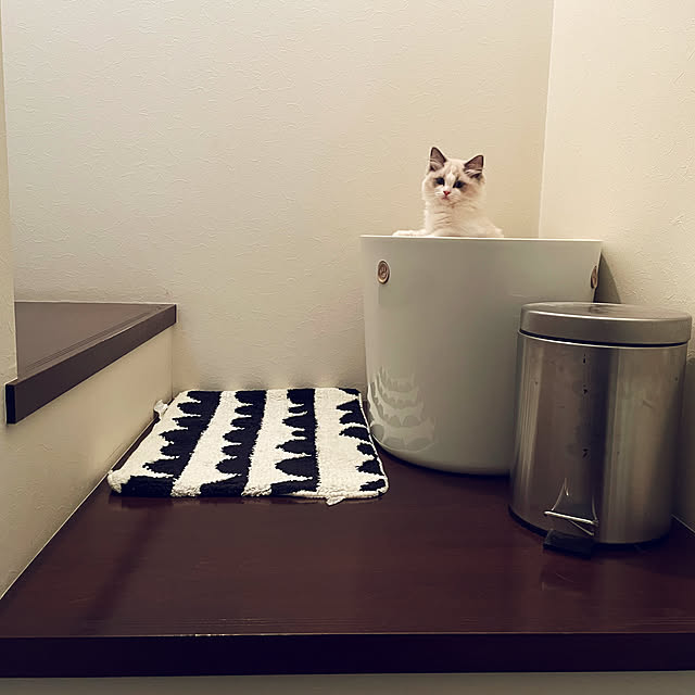 階段/猫トイレ/猫大好き/ねこのいる日常/バス/トイレのインテリア実例 - 2022-05-10 23:50:23