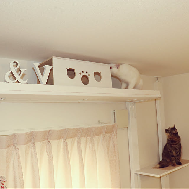 mesoさんの部屋