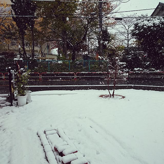green244さんの実例写真