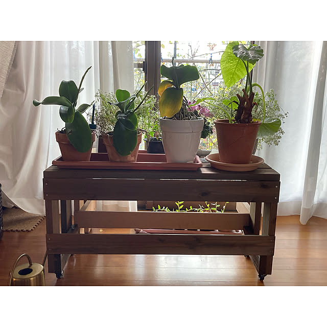 WOODPROさんの実例写真