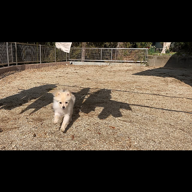1546さんの実例写真