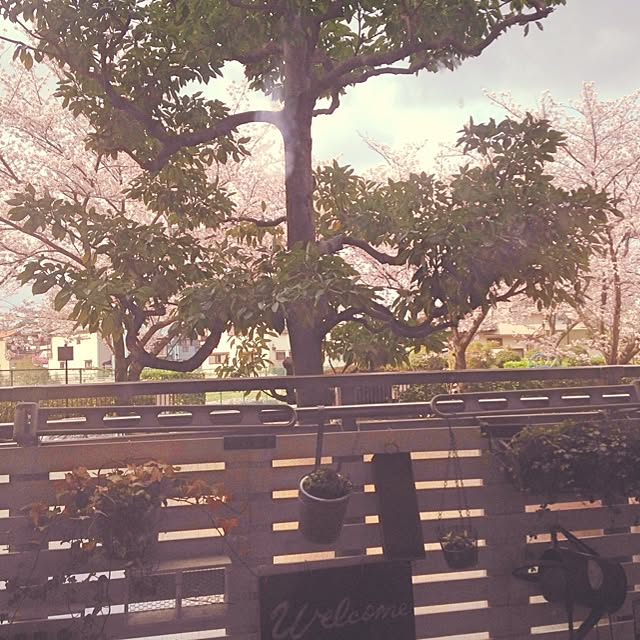 jojokeiさんの実例写真