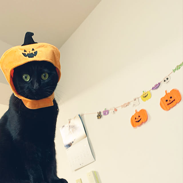 akiiiさんの実例写真
