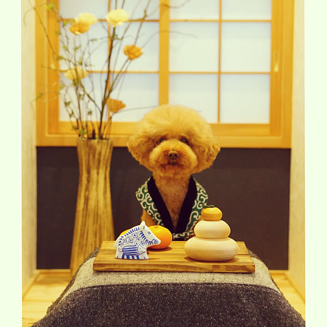 reiさんの実例写真