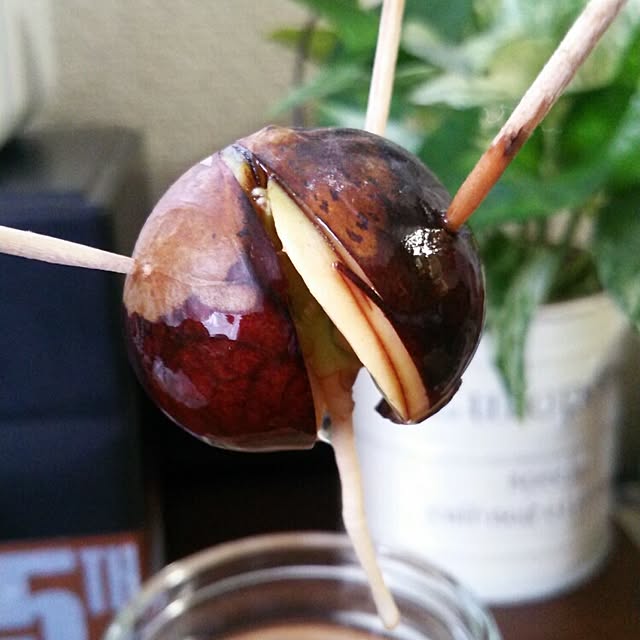Smileberryさんの実例写真