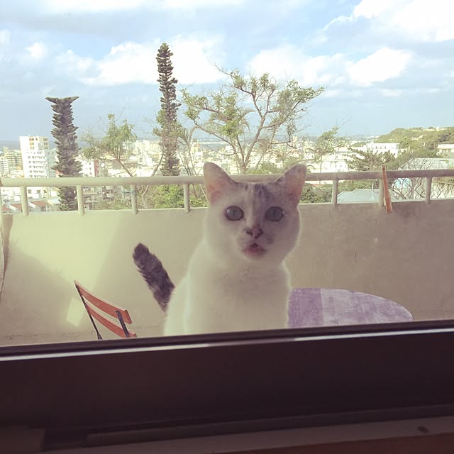 tomone.coさんの実例写真