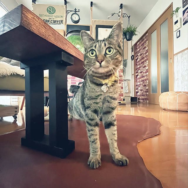 Mさんの実例写真