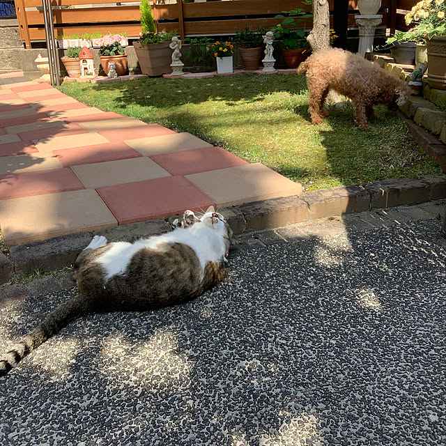 haruminさんの実例写真