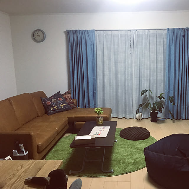 Yuriさんの実例写真