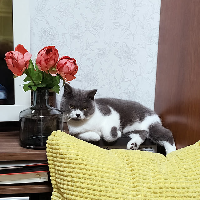 KEIKOさんの実例写真