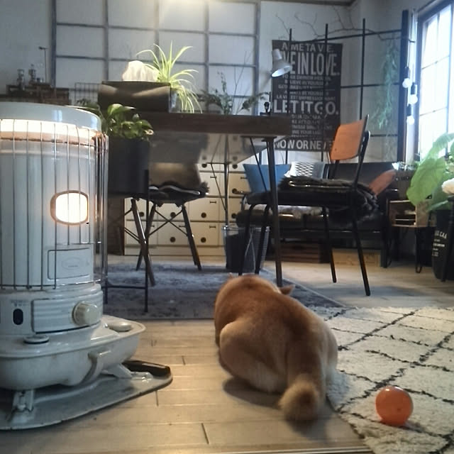 kさんの実例写真