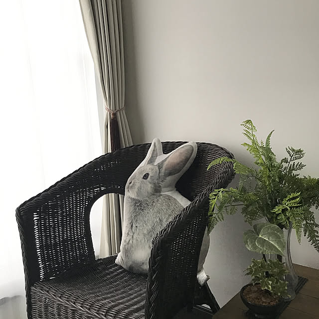 hiro_hiromiさんの実例写真