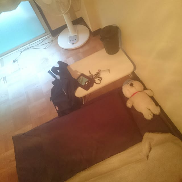 Imanpaさんの実例写真