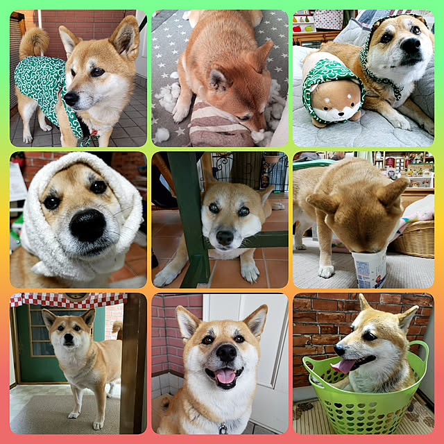 nanaさんの実例写真