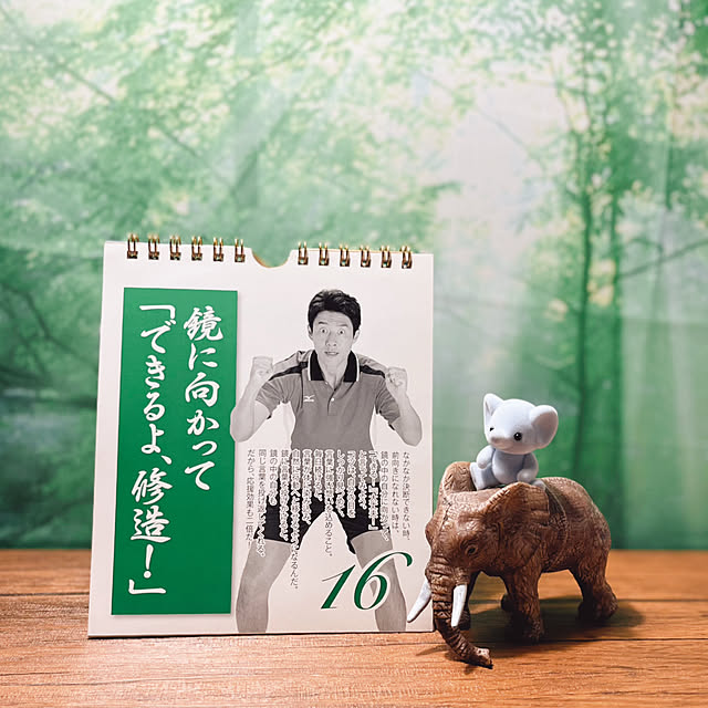 miechuraさんの部屋