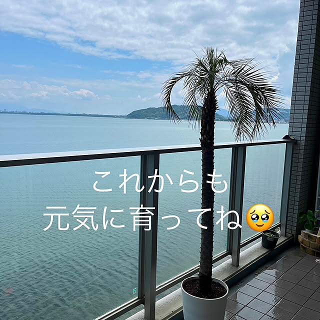 amさんの部屋