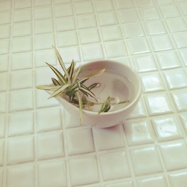 yoshikoさんの実例写真
