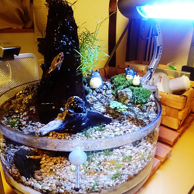 kamelloさんの実例写真