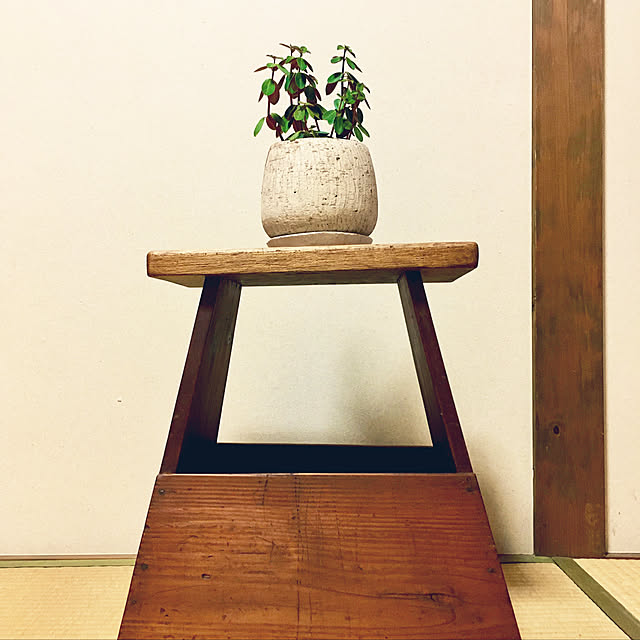 Saruさんの実例写真