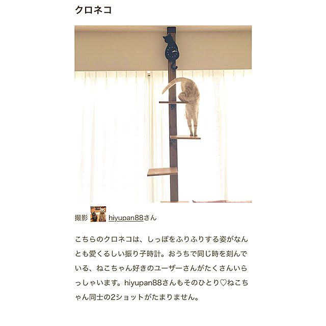 hiyupan88さんの実例写真