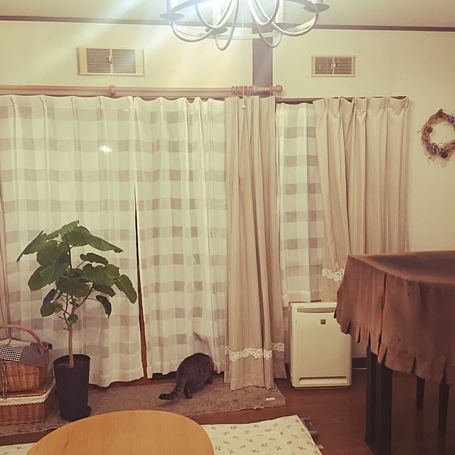 mayuさんの実例写真