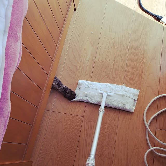 makoさんの実例写真